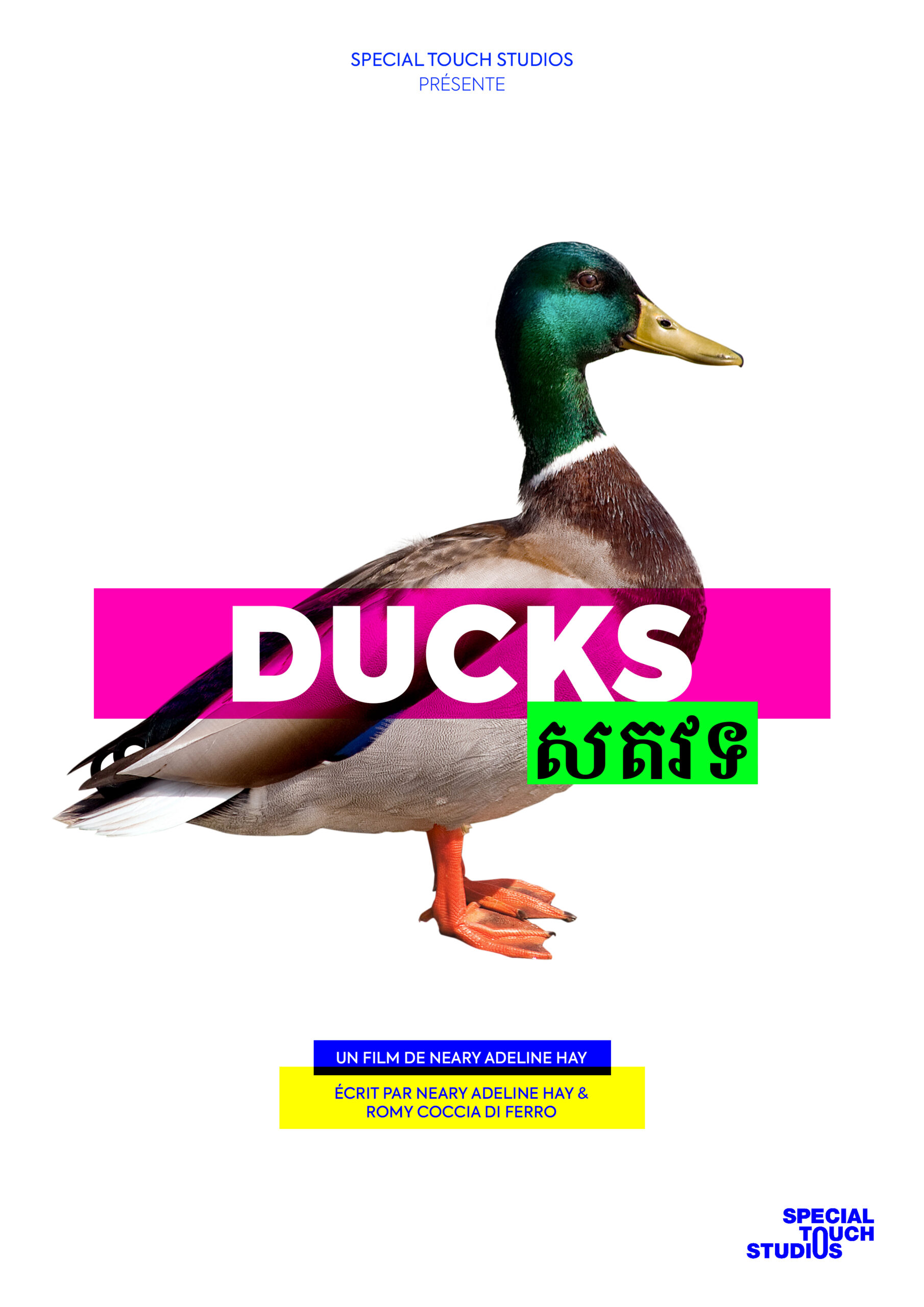 Ducks